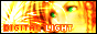 Digital Light Network